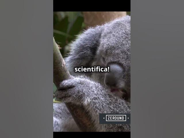 Video thumbnail for Fatti Incredibili che NON Crederai Siano Veri! 🐙 ❄️ 🐄 #ZeroUno