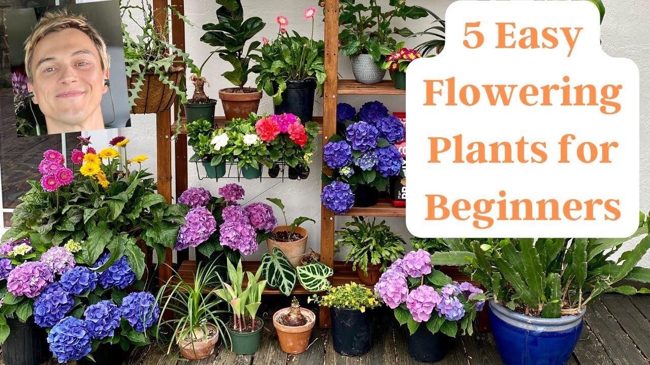 Video thumbnail for 5 Easy To Grow Flowering Plants For Beginners