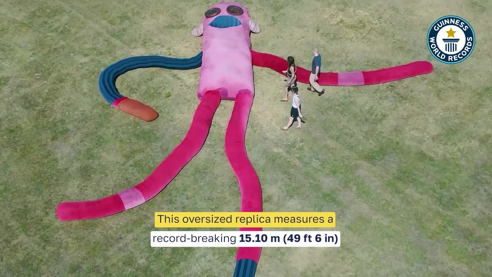 Video thumbnail for Largest sock monkey sculpture  15.10 metres by Emilia Evans Munton