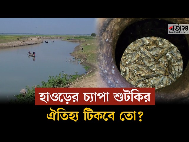 Video thumbnail for হাওরে দেশীয় মাছ কমায় চাপে জেলে পরিবার | Haor Fish | Barta24