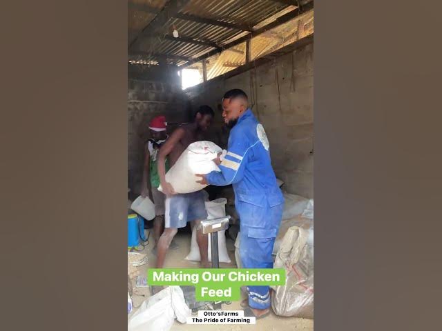 Video thumbnail for πͺ΅β‘ Measuring & Mixing Feed Manually β No Electricity, No Excuse!