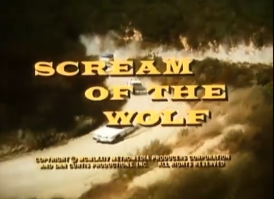 Video thumbnail for Scream of the Wolf (1974)