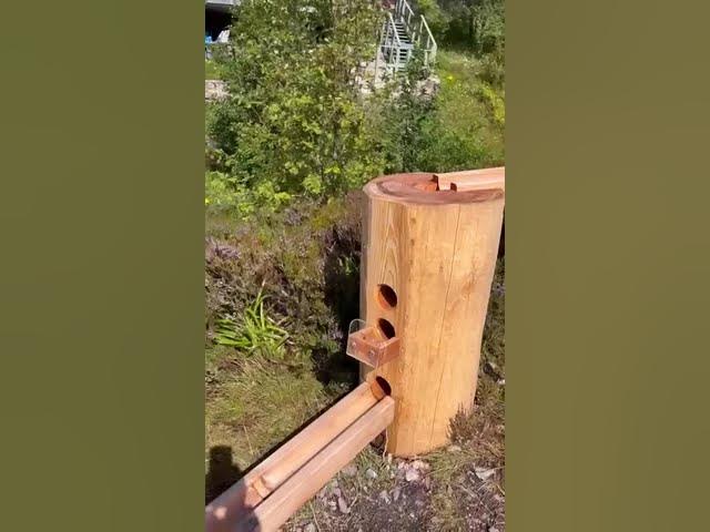 Video thumbnail for 10 December 2024