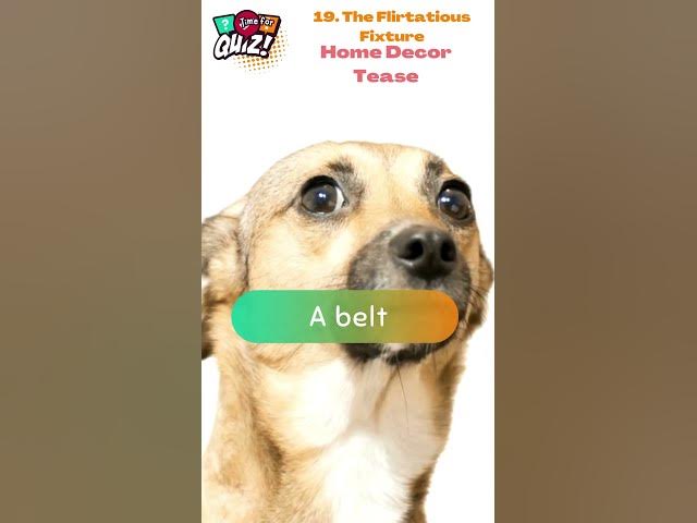 Video thumbnail for 🔥 25 Cheeky Riddles That'll Tickle Your Funny Bone! 😜 | Can You Handle the Wit? 19