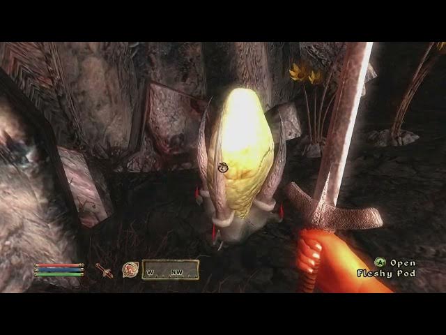 Video thumbnail for The Elder Scrolls IV Oblivion - Breaking The Siege of Kvatch: Reach Tower Portal To The Bloodfeast