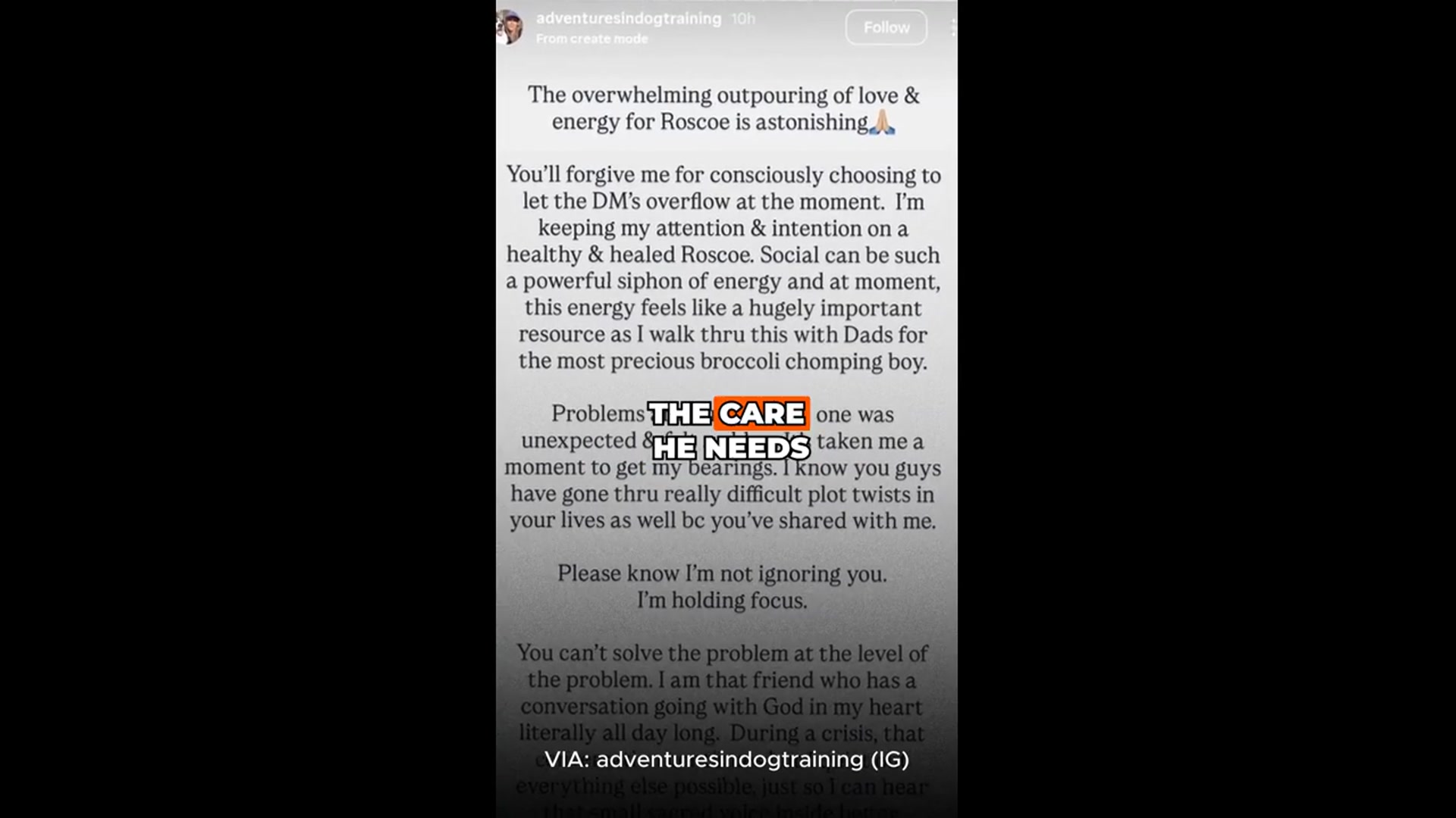 'Video thumbnail for Caretaker of Lewis Hamilton's pet dog Roscoe posts emotional update after his health scare ❤'
