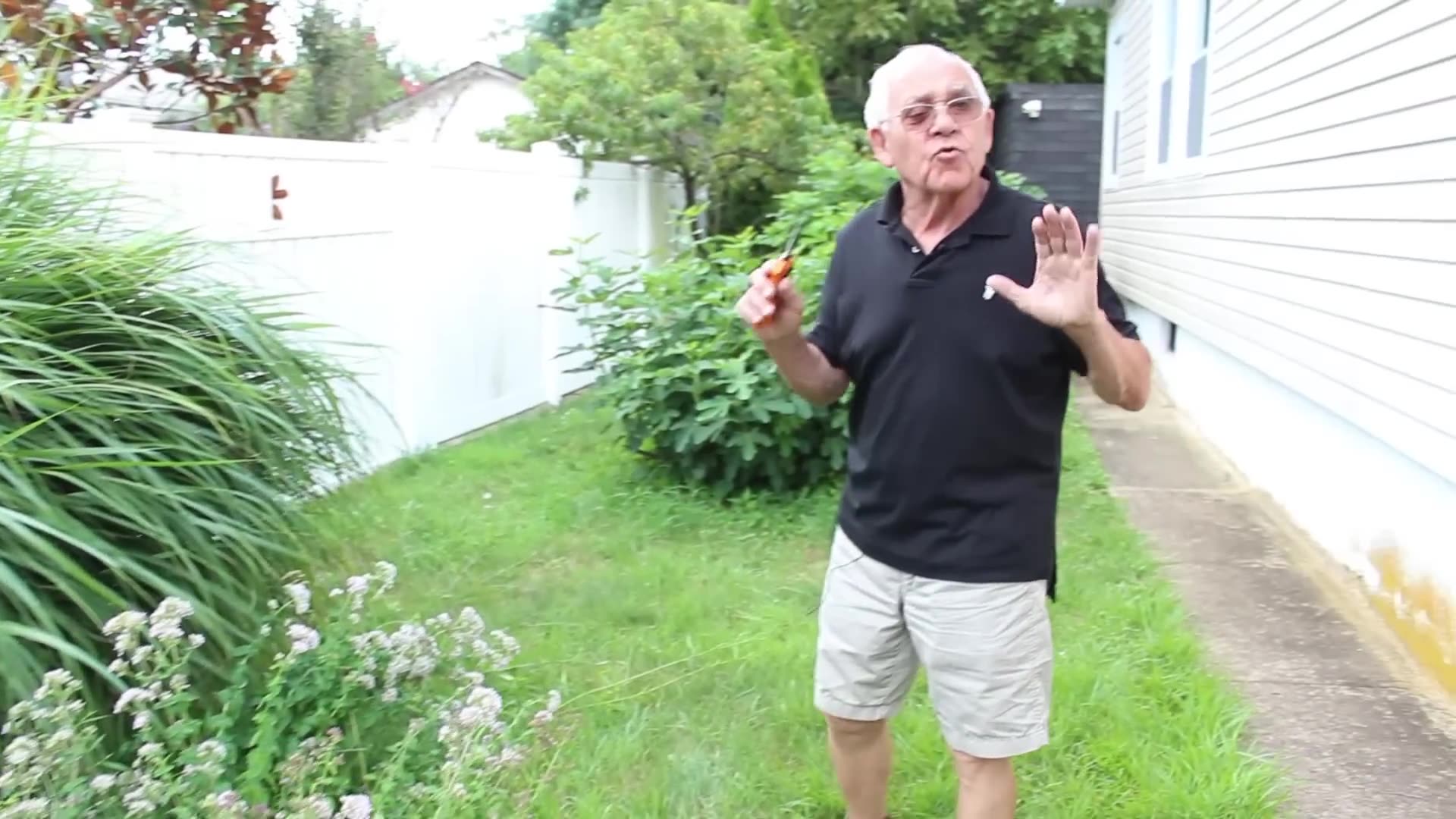 Video thumbnail for How to Harvest Oregano for the Best Flavor