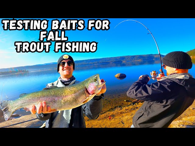 Video thumbnail for Fishing Big Bear Lake for BIG Trout | Fall Trout Fishing Report