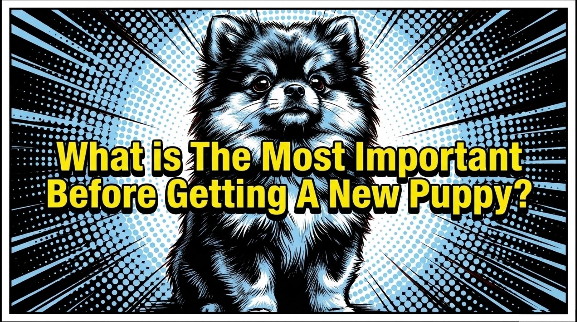 Video thumbnail for What You Need to Know Before Getting A New Puppy?