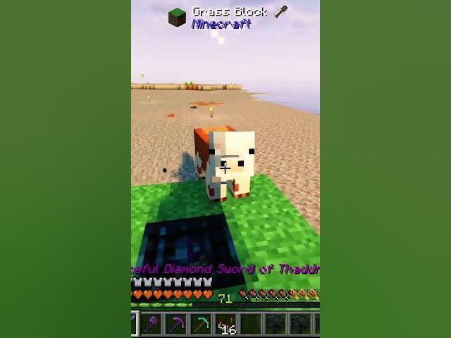 Video thumbnail for Exploding Minecraft Pig ☠️ | #shorts #minecraft