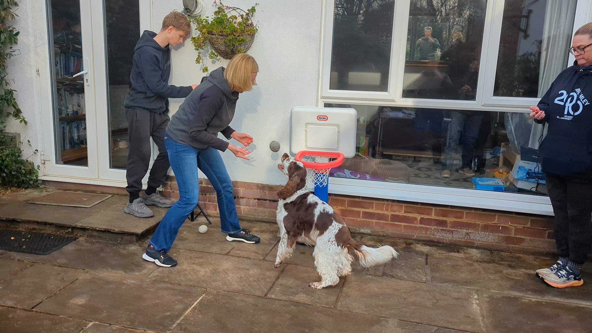 Video thumbnail for Most basketballs caught and dunked by a dog in 30 seconds - 10 by Bonnie and Olga Jones