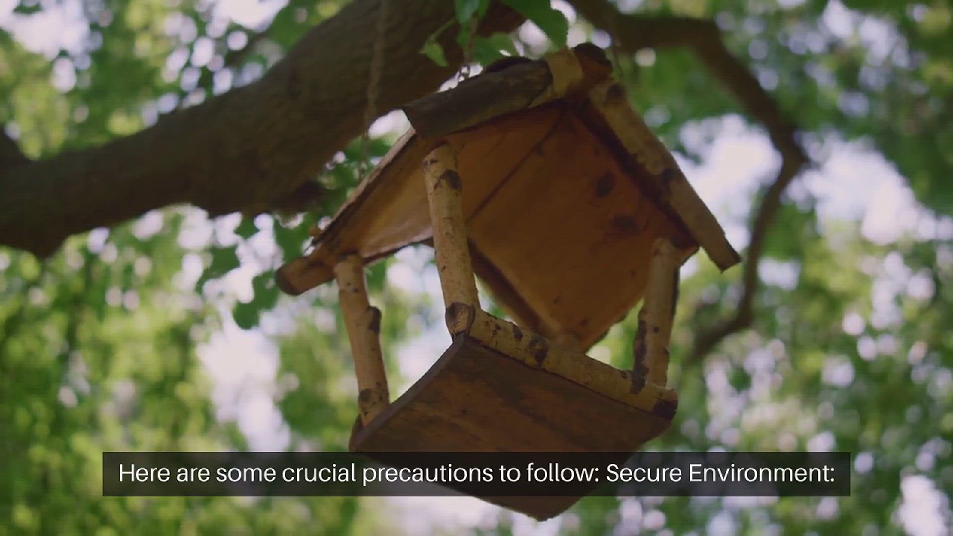 Video thumbnail for Parrot Outdoor Playtime Safety