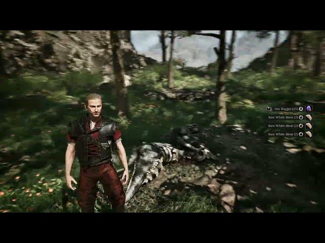 Video thumbnail for Gothic Remake - Chapter 2 The Focus Stone: Nyras Killed By Adult Scavenger | Loot Steel Tongue Mace