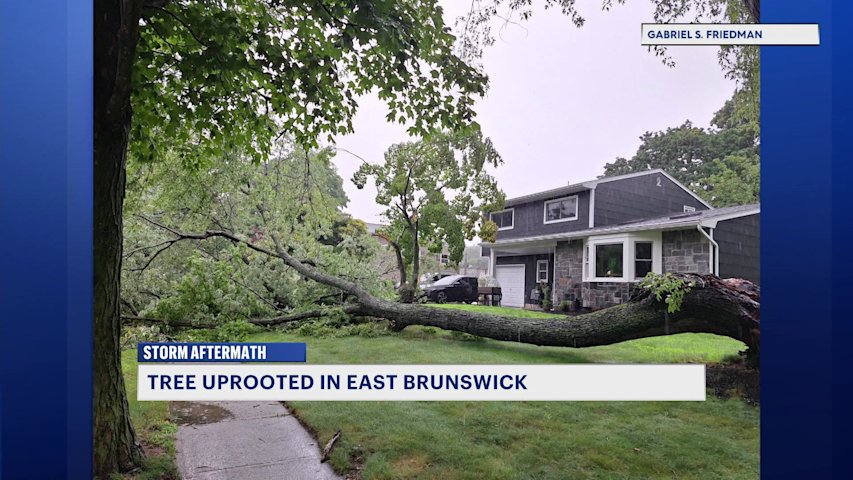 Video thumbnail for Monday storm uproots tree in East Brunswick