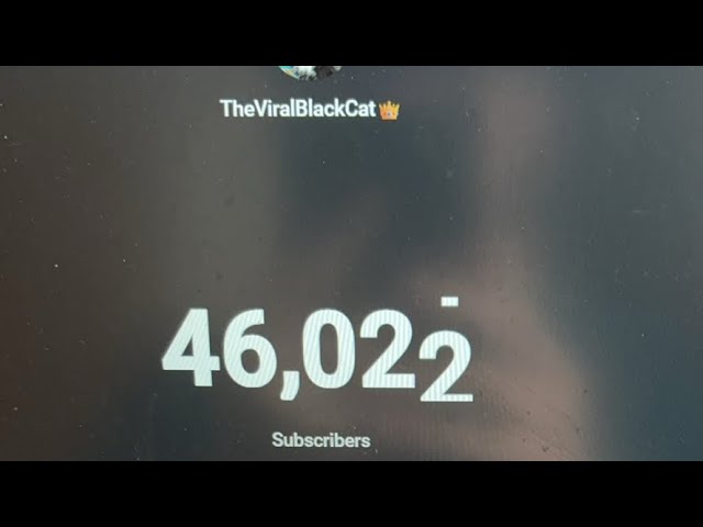 Video thumbnail for On way to 47,000 subscribers 🥳with kitty 🐈