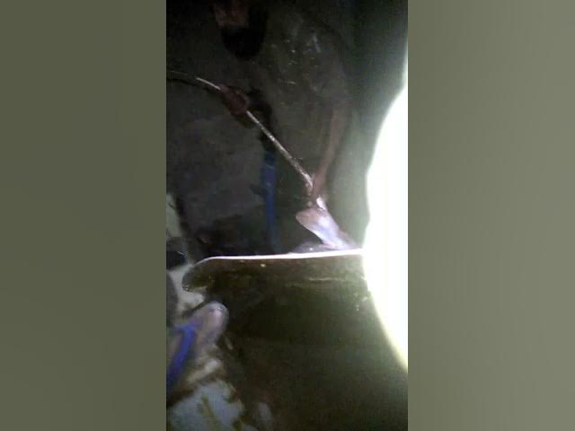 Video thumbnail for Ray fish_aziz &|| Naseer baloch||#fishingfun #Rayfish #karachifishing