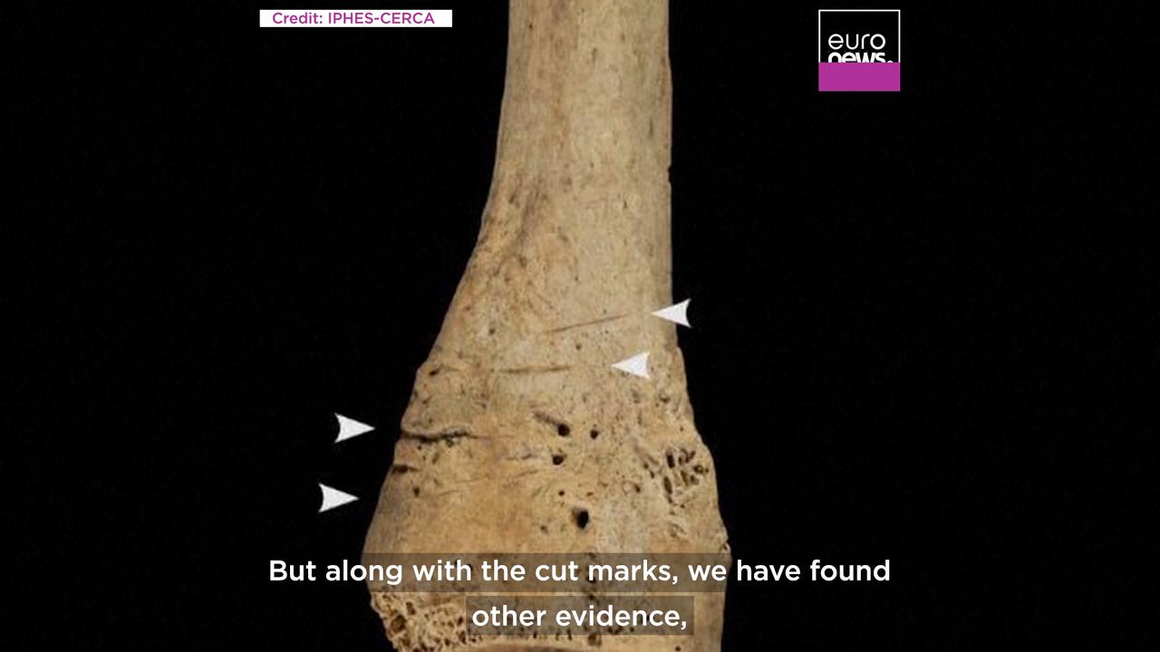 'Video thumbnail for 'Extreme exploitation': Spanish archaeologists find signs of war cannibalism from 5,700 years ago'