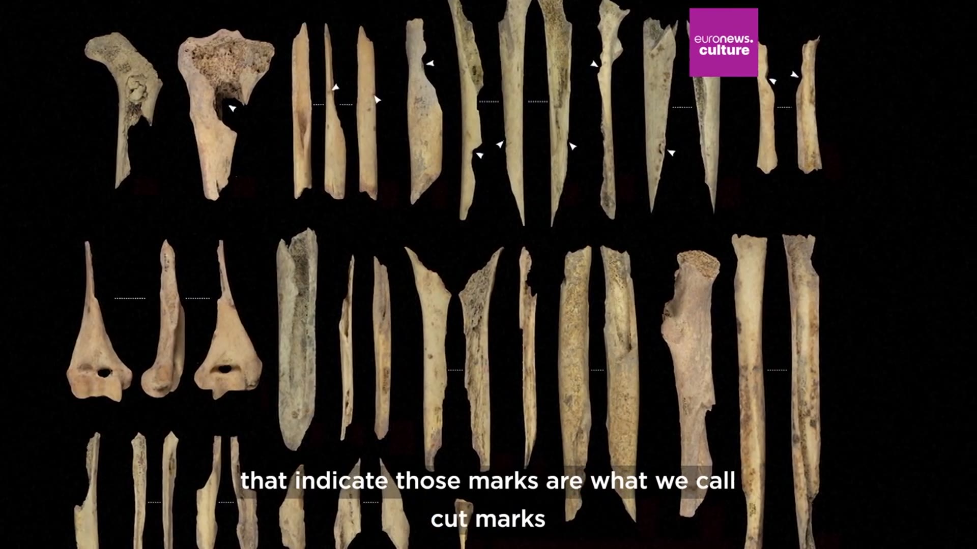 'Video thumbnail for 'Extreme exploitation': Spanish archaeologists find signs of war cannibalism from 5,700 years ago'