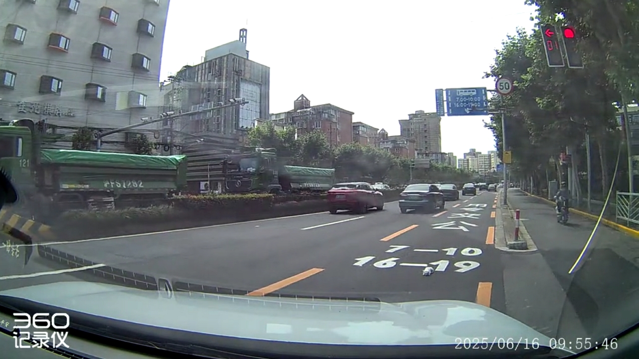 Video thumbnail for Dashcam Saves Cat Stranded in Busy Shanghai Traffic