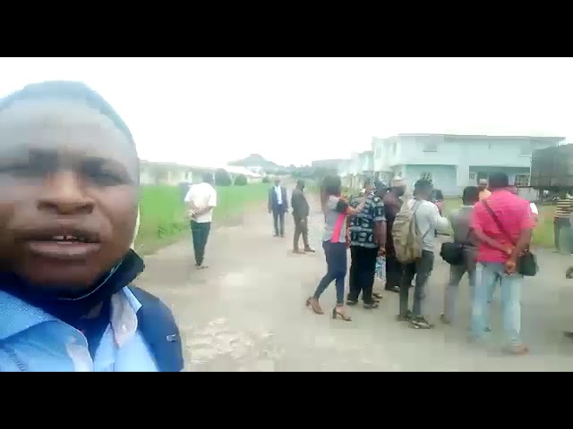 Video thumbnail for How to make passive income $600 in Tebi 12 weeks