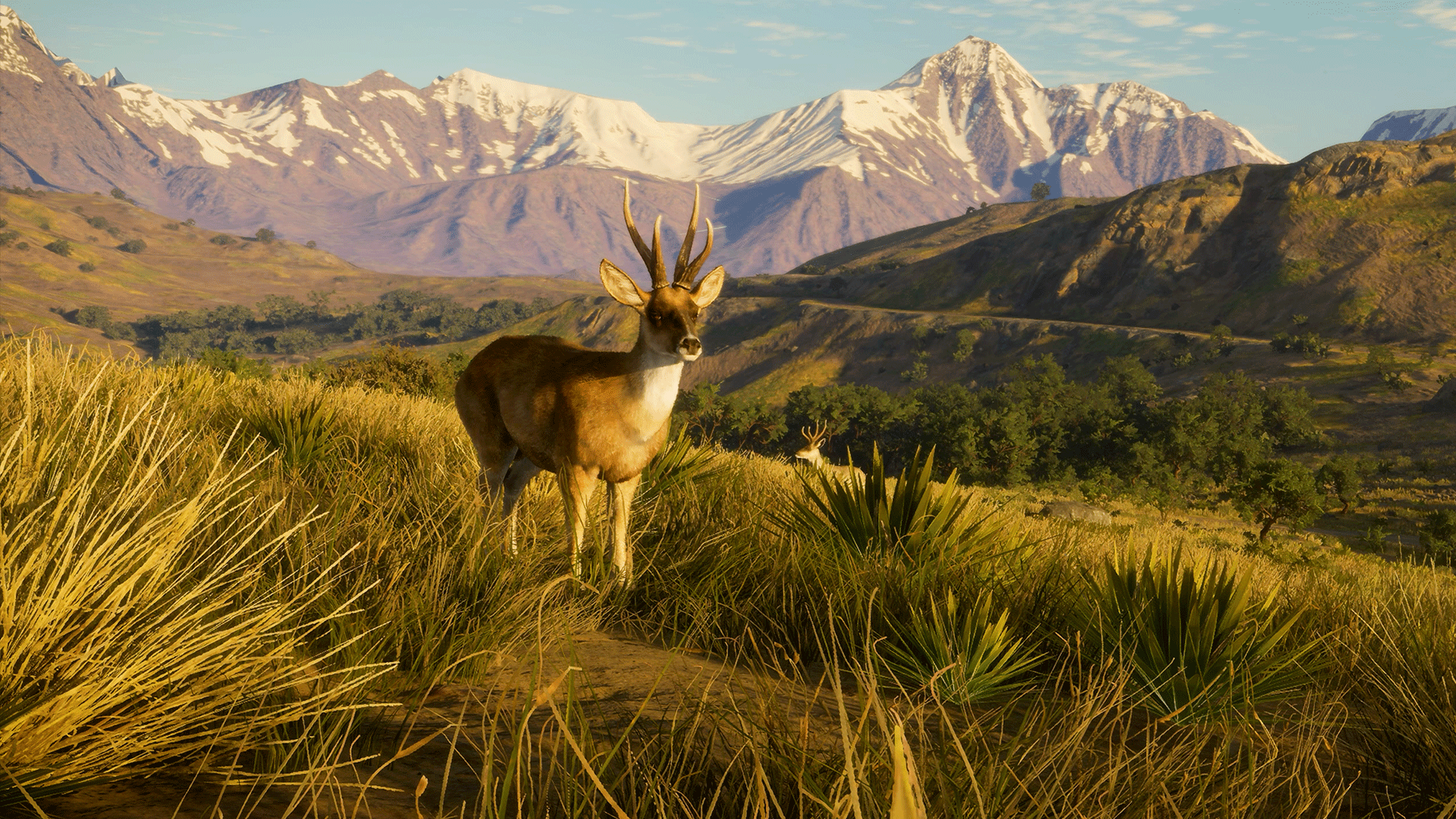 Video thumbnail for theHunter: Call of the Wild - Official Peru Hunting Reserve Launch Trailer