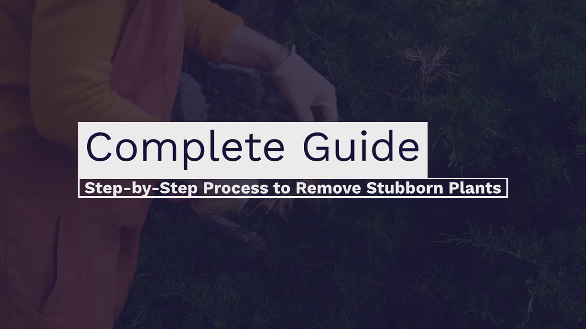 'Video thumbnail for How to Remove a Bush or Shrub'