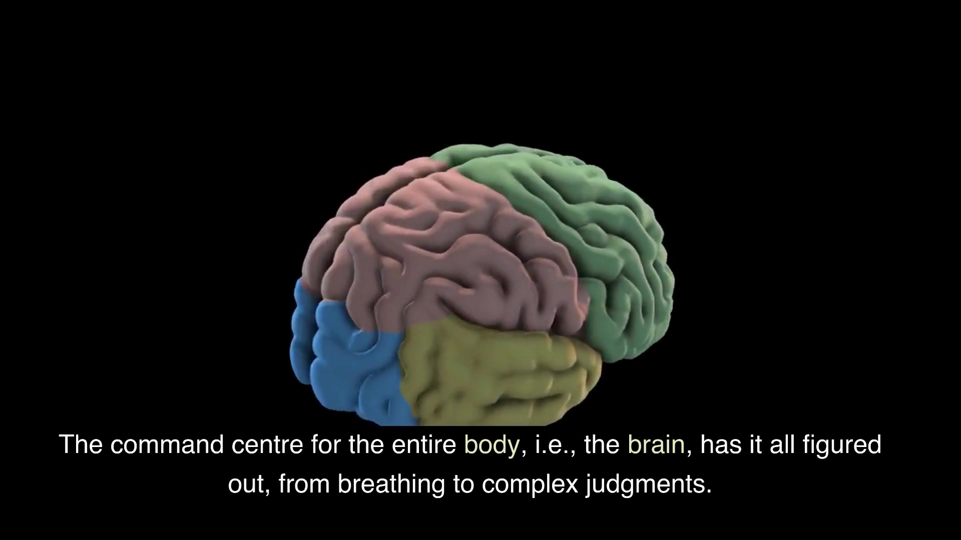 'Video thumbnail for 5 DANGER Warning Signs Of A Brain Infection'