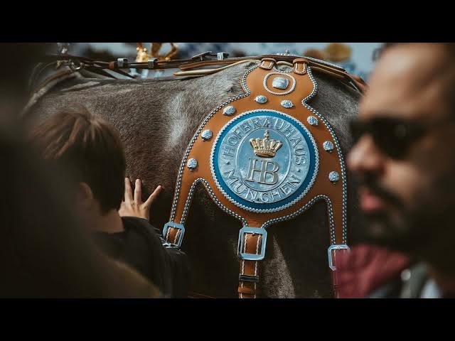 Video thumbnail for Das Oktoberfest: Geschichte und Traditionen des größten Volksfestes der Welt