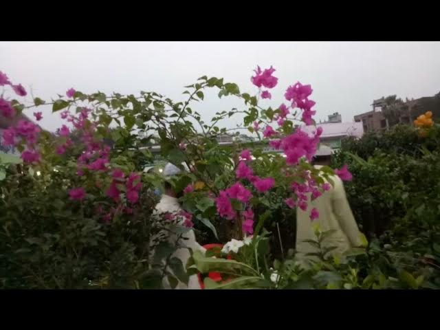 Video thumbnail for বৃক্ষমেলা, গাজীপুর, Tree Plantation Campaign, Gazipur