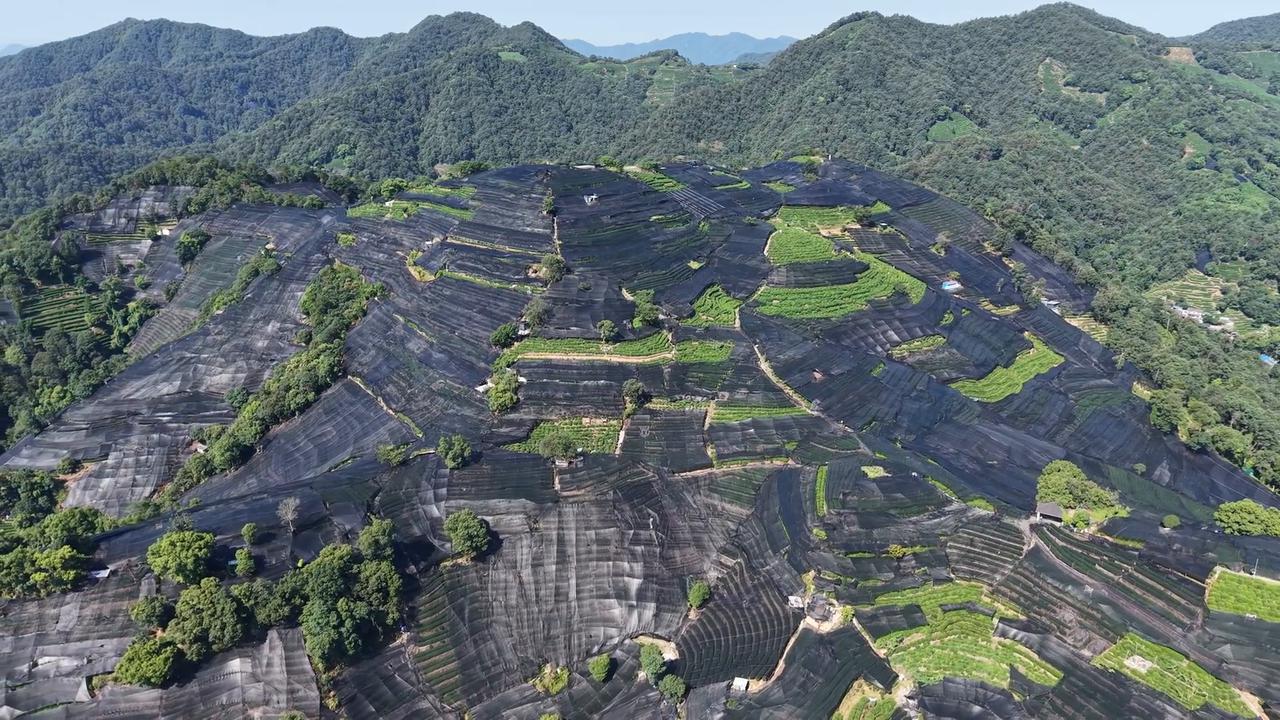 Video thumbnail for China: High-temperature Agriculture 4.