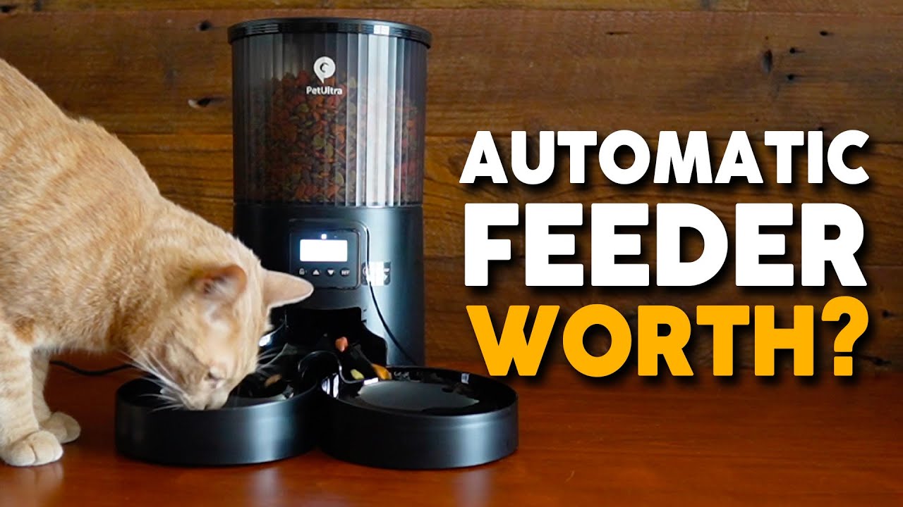 Video thumbnail for Petultra Dual Automatic Pet Feeder Setup and First Impressions