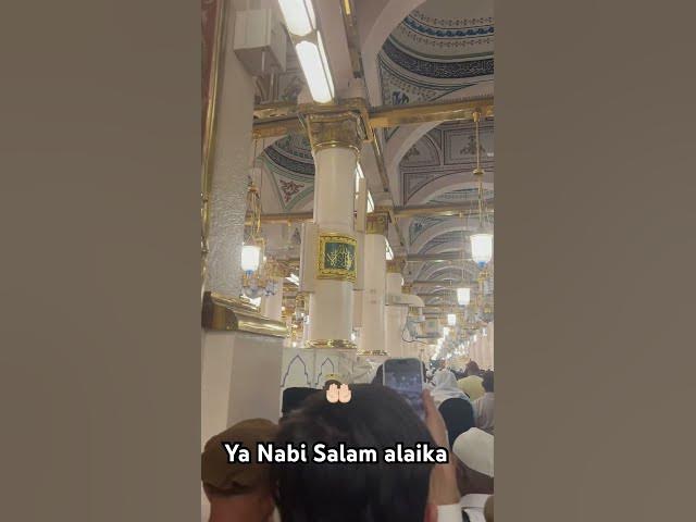 Video thumbnail for Roza e Pak #madinah #madina #shortvideo #alahazratkalambyowaisrazaqadri #love #darood