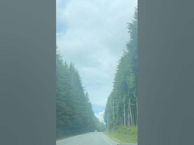 Video thumbnail for Tofino BC