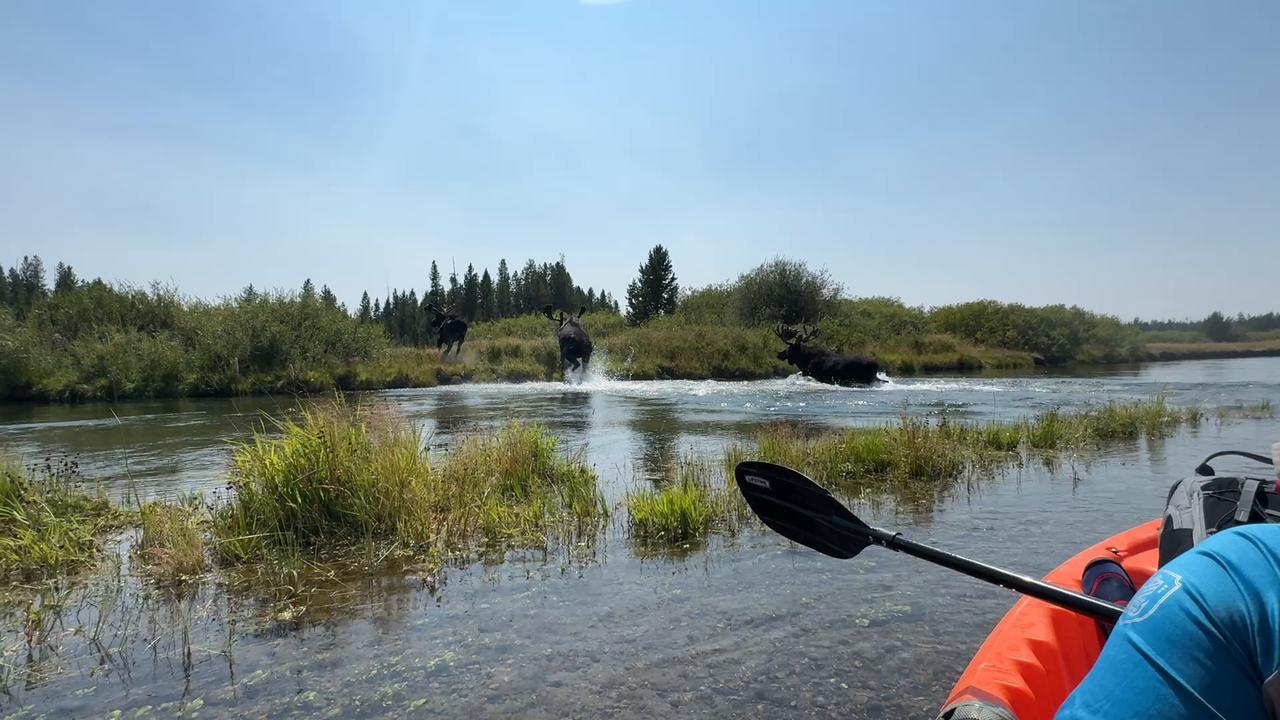 Video thumbnail for Three Charging Across the River