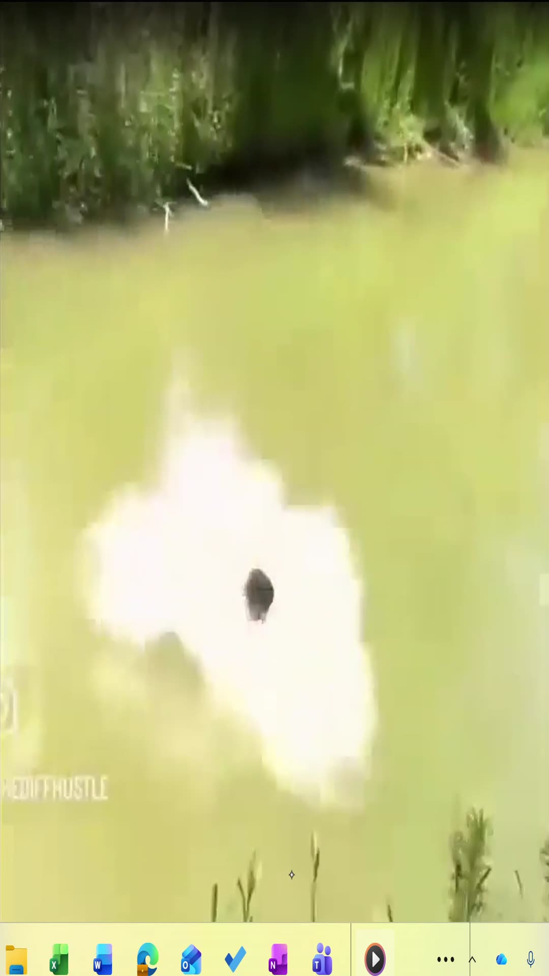 Video thumbnail for funny meme 1