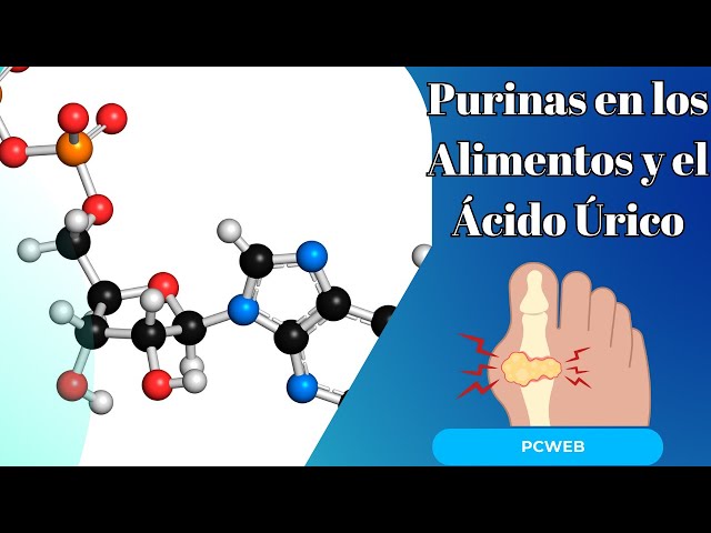 'Video thumbnail for Purinas en los Alimentos: Relación con el Ácido Úrico-video'