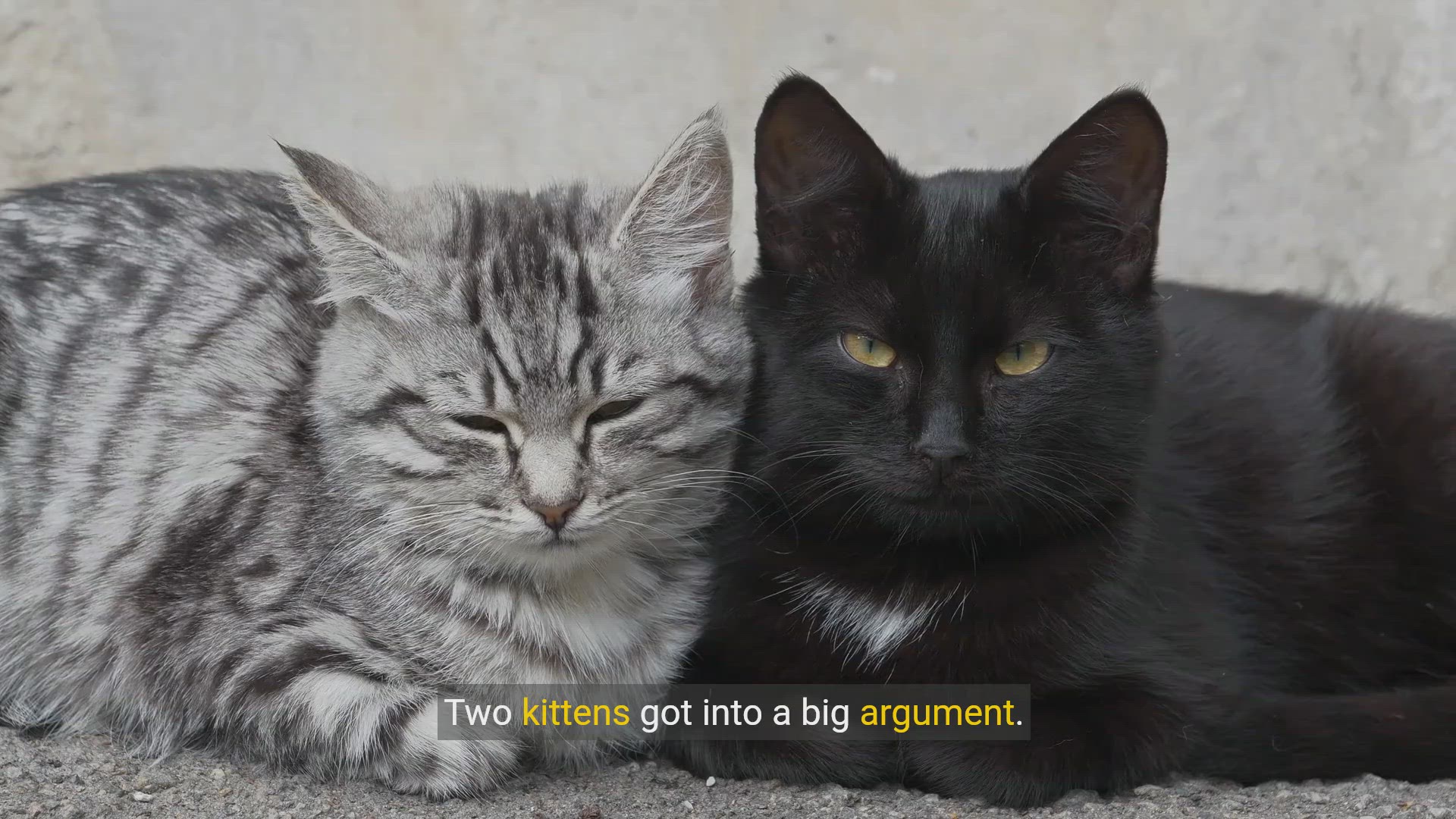 Video thumbnail for Purr-fect Laughs - Hilarious Cat Jokes to Brighten Your Day!