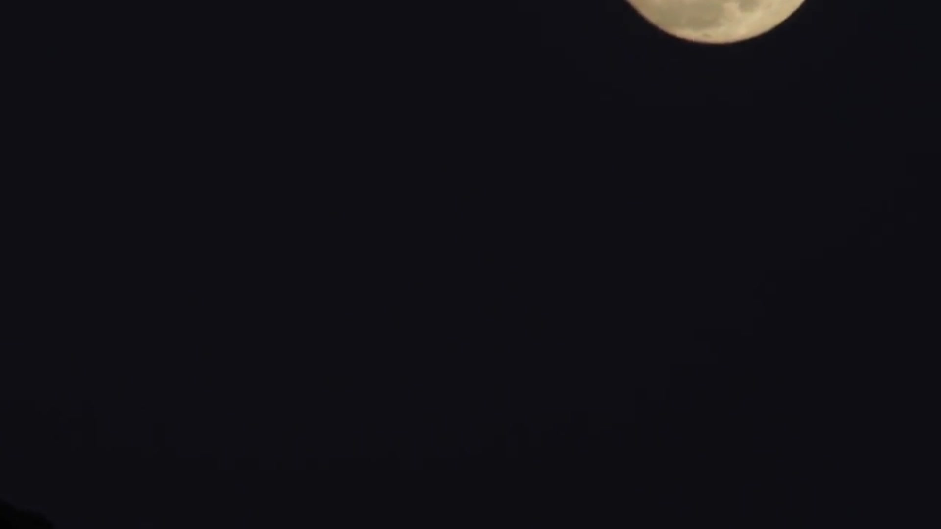 'Video thumbnail for I BROUGHT MY CAMERA TO THE FULL MOON PARTY IN THAILAND'