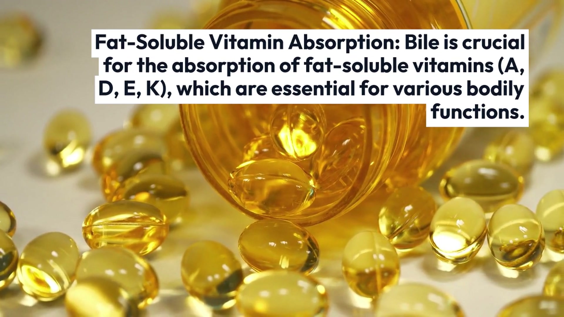 Video thumbnail for Understanding_Gallbladder_Functions