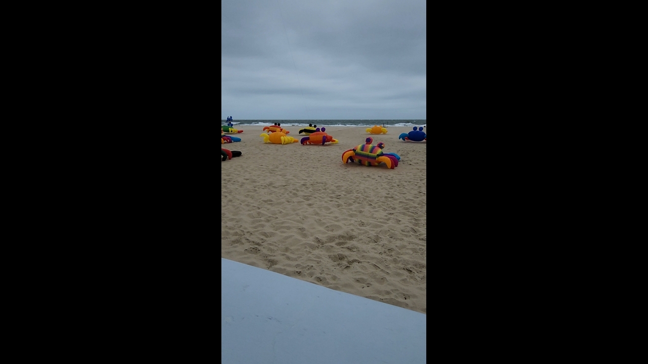 Video thumbnail for Giant Crab Kites Light Up Maryland Beach