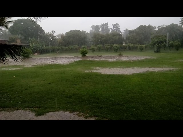 Video thumbnail for Baradari Garden Nawanshahr