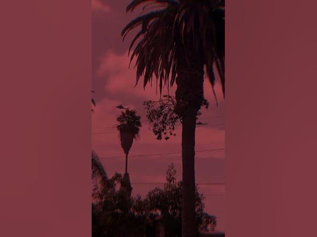 Video thumbnail for WHAT IS THEY LOOKING FOR