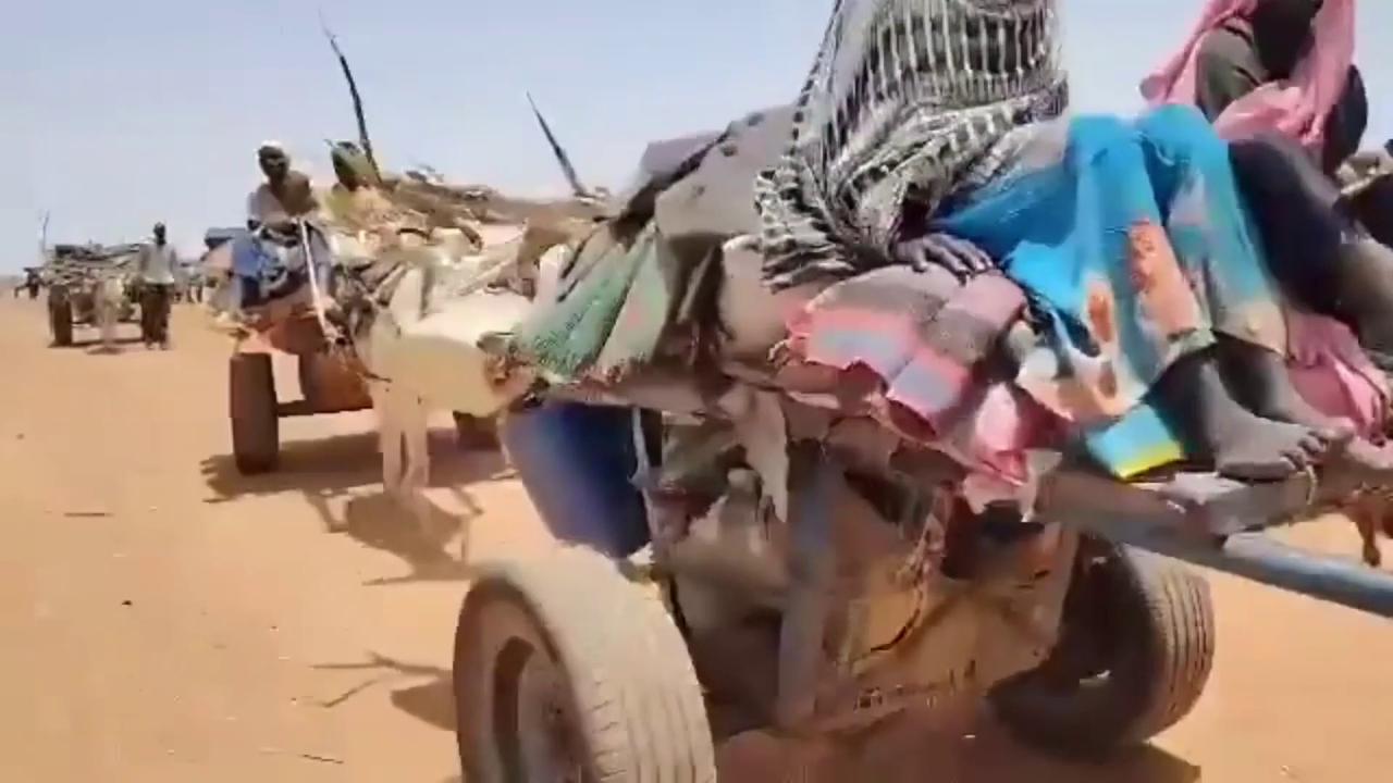 Video thumbnail for Sudan: Displaced Families Pour Into Tawila Amid Aid Crisis.