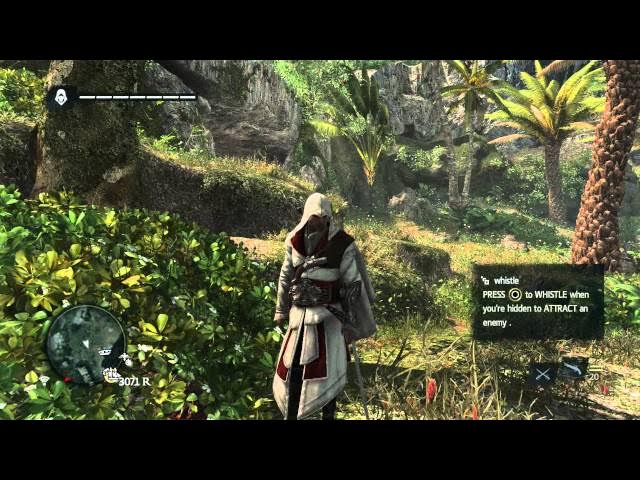 Video thumbnail for Assassin's Creed IV: Black Flag - Royal Misfortune: Arrive on Island, Kill a Jaguar & Howler Monkey