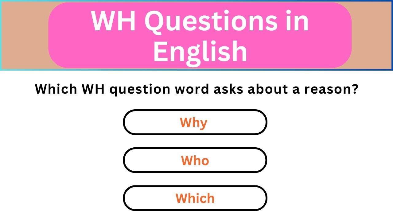 'Video thumbnail for English Grammar Practice || WH Questions in English || English Grammar Test'