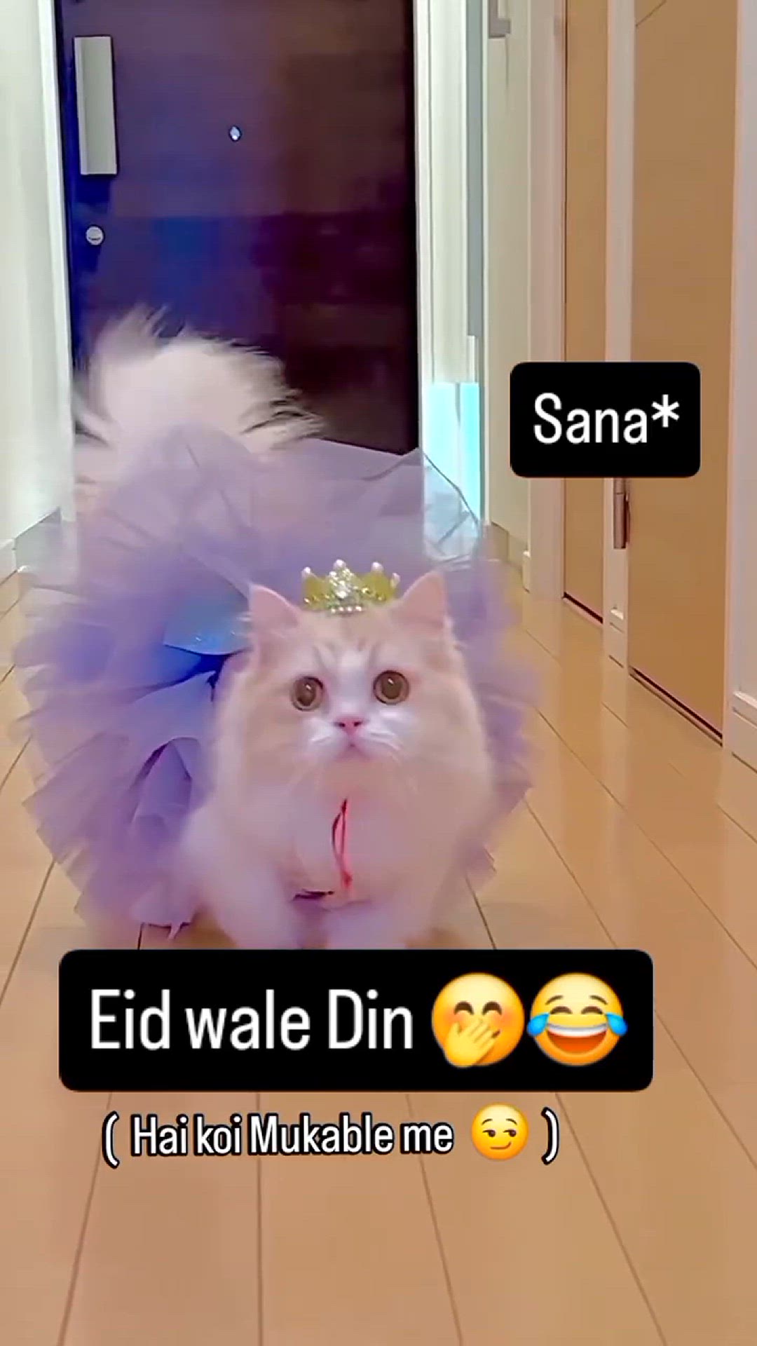 Video thumbnail for sana_khan_70374-20250322-0001