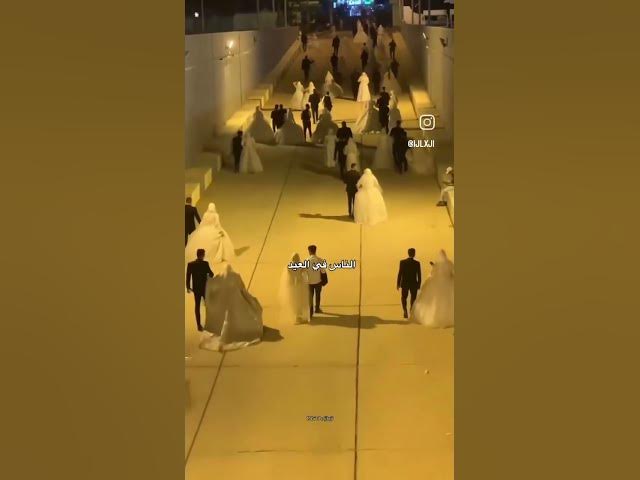 Video thumbnail for 12 October 2025