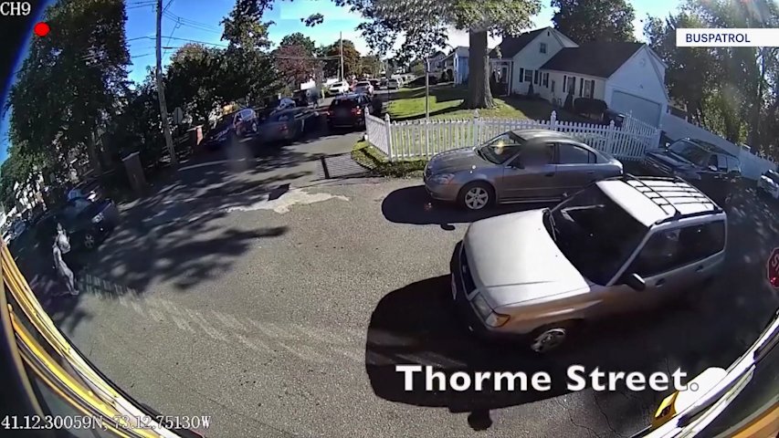 Video thumbnail for More school bus cameras are catching drivers who fail to stop, police warn
