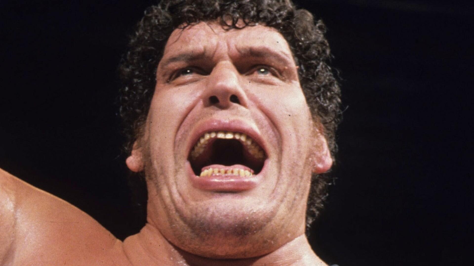 Video thumbnail for Stars Andre The Giant Couldn't Stand