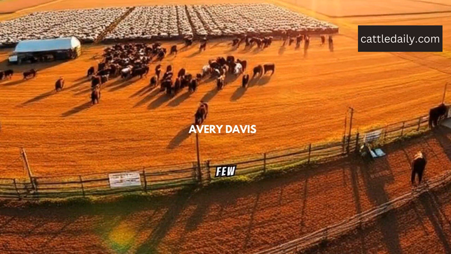 Video thumbnail for cattle daily care